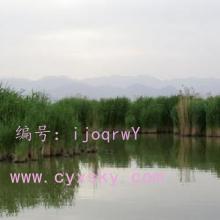ǧ